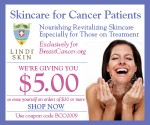 Lindi Skin BreastCancer.org Web Banner
